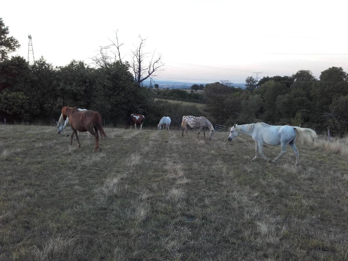 Gite De Prejeurin Echalas Εξωτερικό φωτογραφία